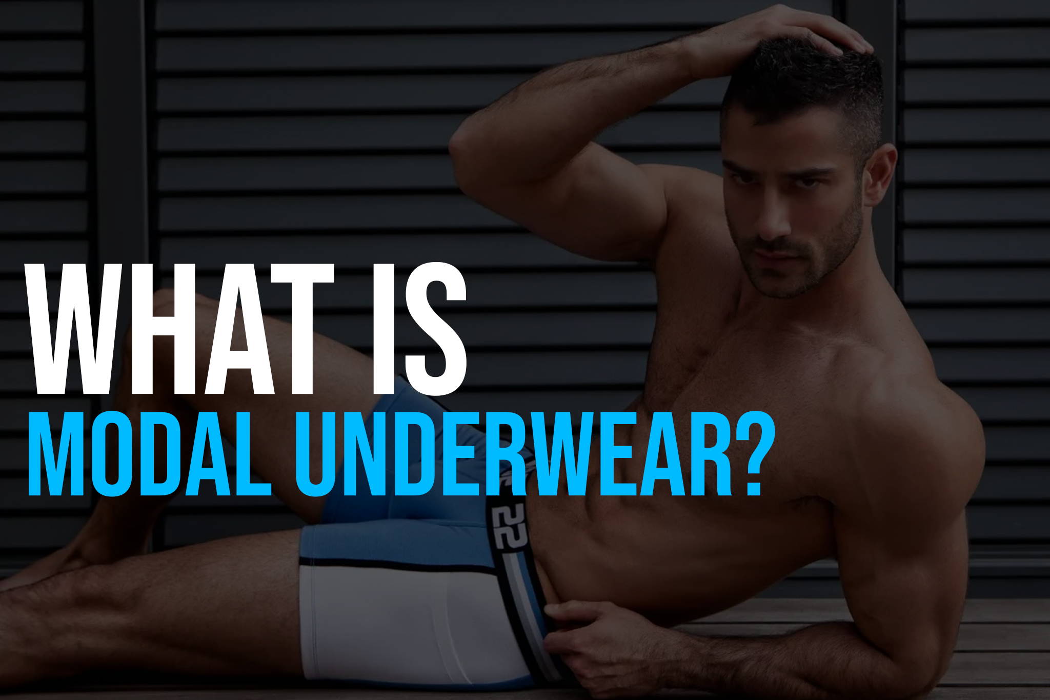 What Is Modal Underwear?