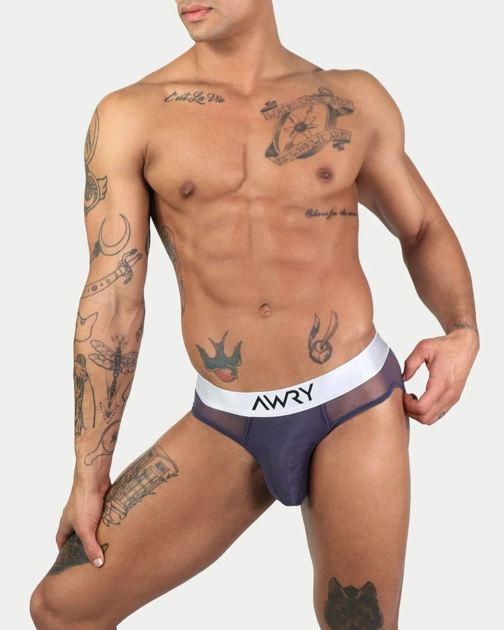 AWRY - Briefs - 12028 - GRAY9 - S