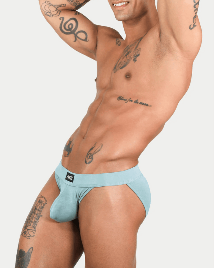 AWRY - Briefs - 12029 - TEAL10 - S