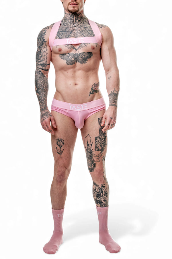 TASTE | Candy Pink Briefs, Harness & Socks Set
