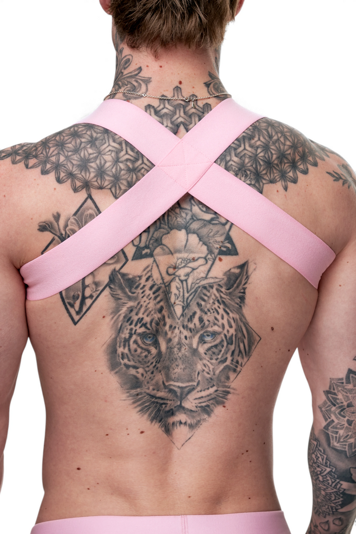 TASTE - Briefs & Harness Set - 