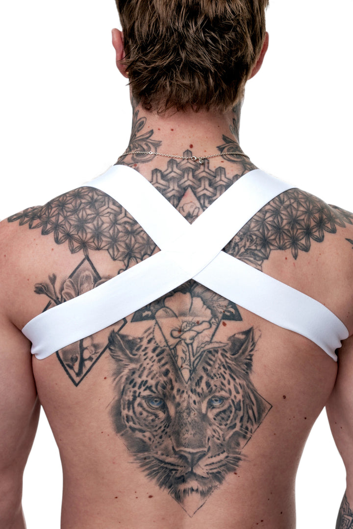 TASTE - Harness - TASTE-HARNESS-W-XS